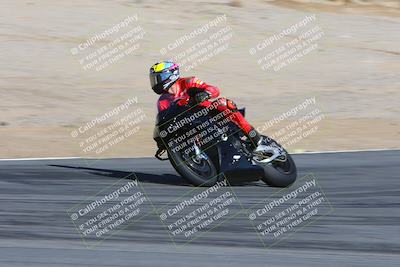 media/Feb-04-2024-SoCal Trackdays (Sun) [[91d6515b1d]]/4-Bowl Backside (11am)/